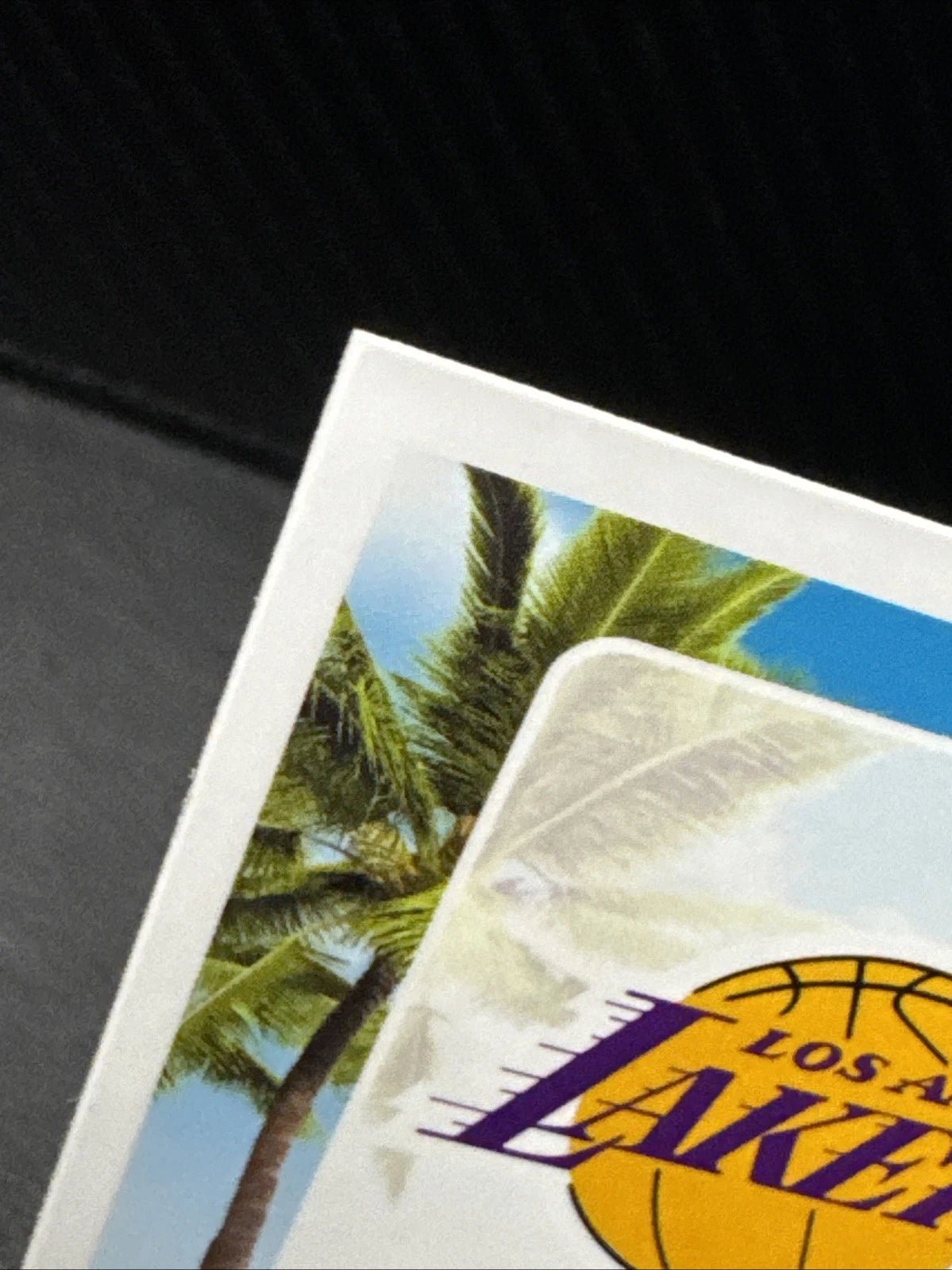 2024 - 25 Donruss Optic Splash! 5 LeBron James Los Angeles Lakers - 787 Hobby House