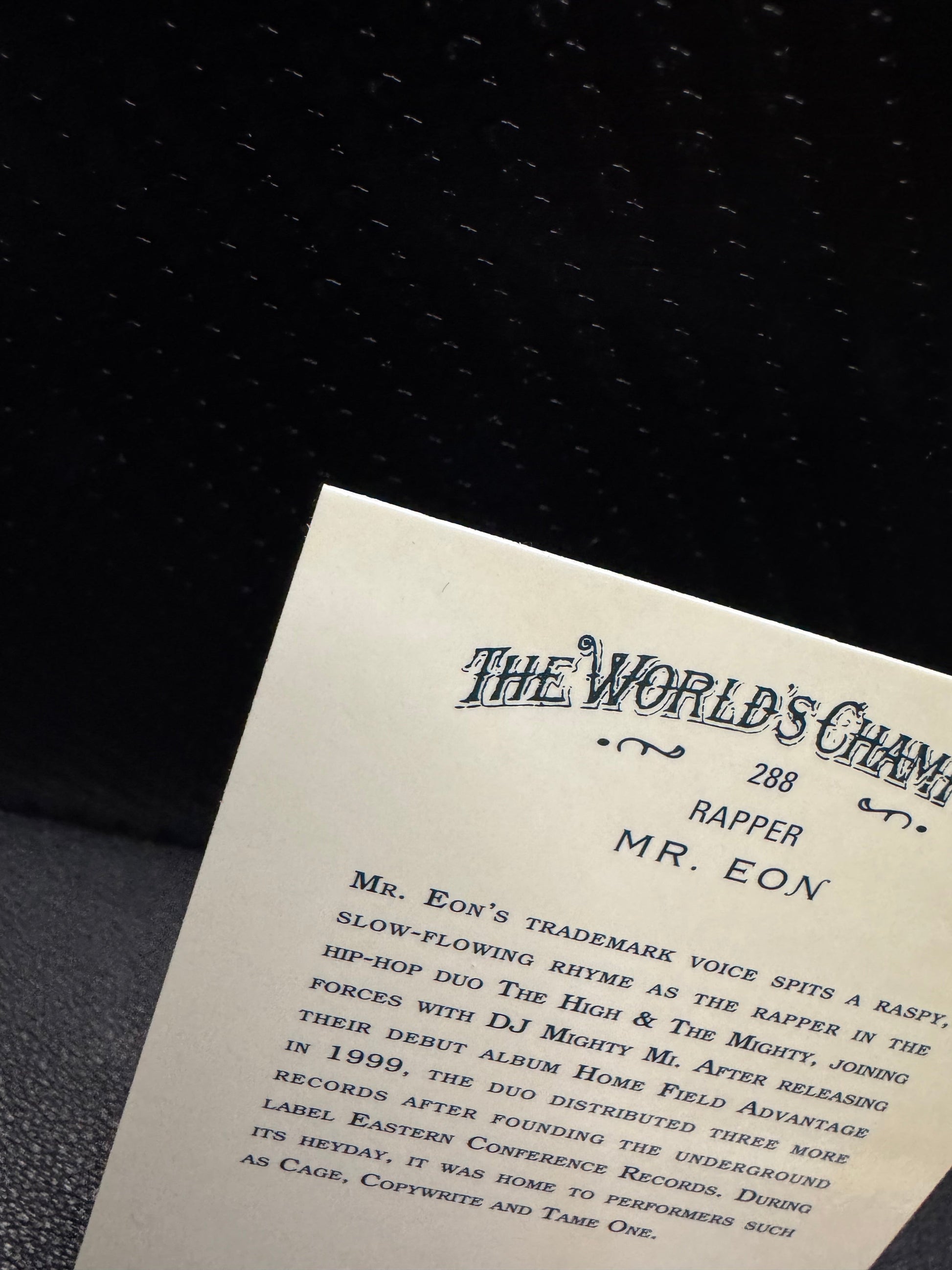 2025 Topps Allen & Ginter 288 Mr. Eon Chrome Refractor - 787 Hobby House