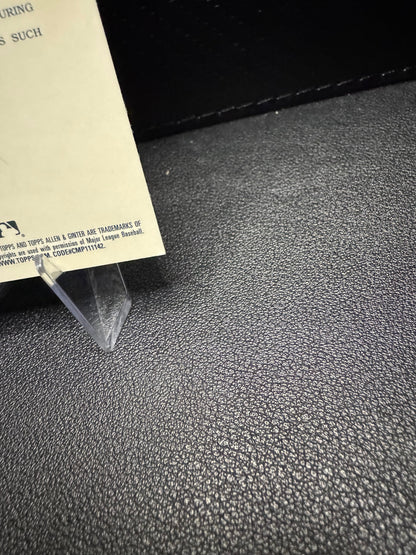 2025 Topps Allen & Ginter 288 Mr. Eon Chrome Refractor - 787 Hobby House